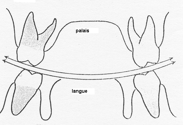 valeur prothetique des surfaces appui